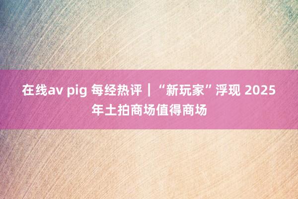 在线av pig 每经热评︱“新玩家”浮现 2025年土拍商场值得商场