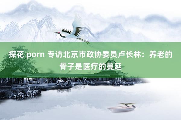 探花 porn 专访北京市政协委员卢长林：养老的骨子是医疗的蔓延