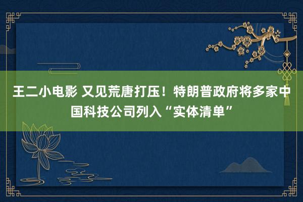 王二小电影 又见荒唐打压！特朗普政府将多家中国科技公司列入“实体清单”