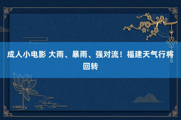 成人小电影 大雨、暴雨、强对流！福建天气行将回转