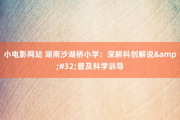 小电影网站 湖南沙湖桥小学：深耕科创解说&#32;普及科学训导