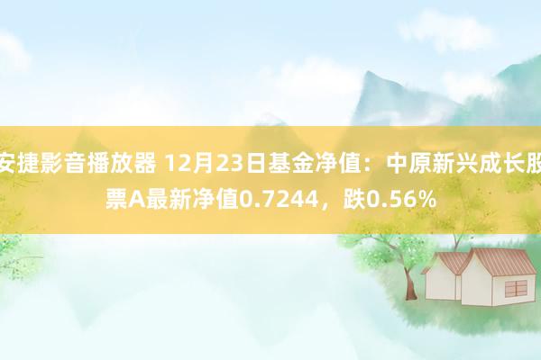 安捷影音播放器 12月23日基金净值：中原新兴成长股票A最新净值0.7244，跌0.56%