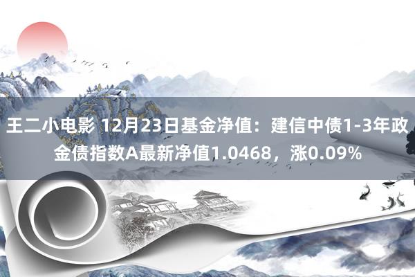 王二小电影 12月23日基金净值：建信中债1-3年政金债指数A最新净值1.0468，涨0.09%