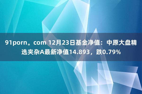 91porn。com 12月23日基金净值：中原大盘精选夹杂A最新净值14.893，跌0.79%