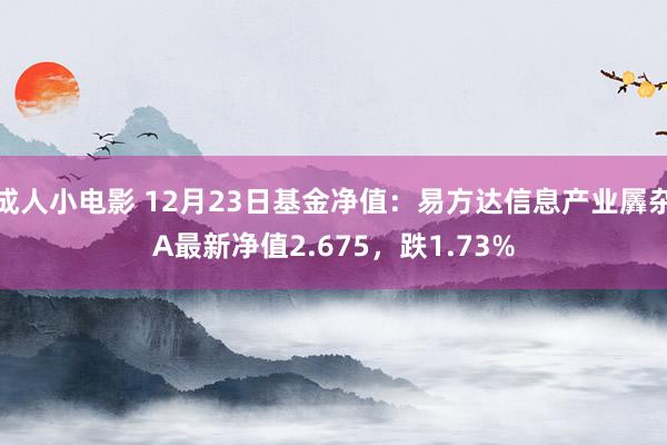 成人小电影 12月23日基金净值：易方达信息产业羼杂A最新净值2.675，跌1.73%