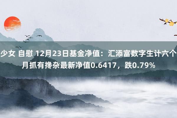 少女 自慰 12月23日基金净值：汇添富数字生计六个月抓有搀杂最新净值0.6417，跌0.79%