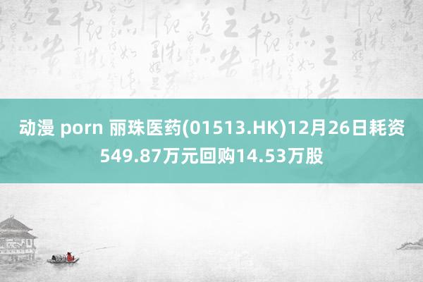 动漫 porn 丽珠医药(01513.HK)12月26日耗资549.87万元回购14.53万股