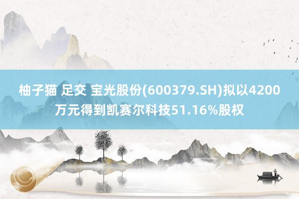 柚子猫 足交 宝光股份(600379.SH)拟以4200万元得到凯赛尔科技51.16%股权
