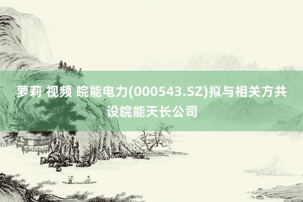 萝莉 视频 皖能电力(000543.SZ)拟与相关方共设皖能天长公司