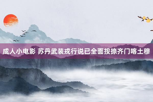 成人小电影 苏丹武装戎行说已全面按捺齐门喀土穆