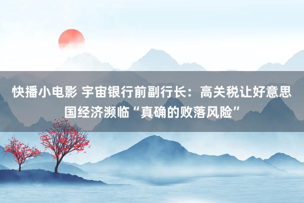 快播小电影 宇宙银行前副行长：高关税让好意思国经济濒临“真确的败落风险”