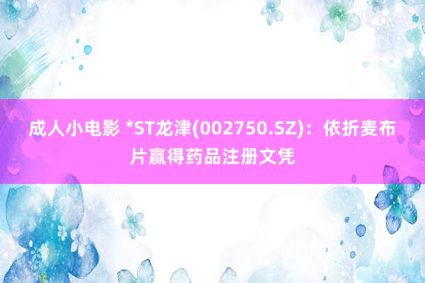 成人小电影 *ST龙津(002750.SZ)：依折麦布片赢得药品注册文凭
