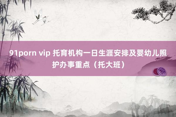 91porn vip 托育机构一日生涯安排及婴幼儿照护办事重点（托大班）