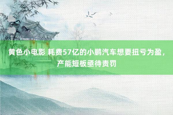 黄色小电影 耗费57亿的小鹏汽车想要扭亏为盈，产能短板亟待责罚