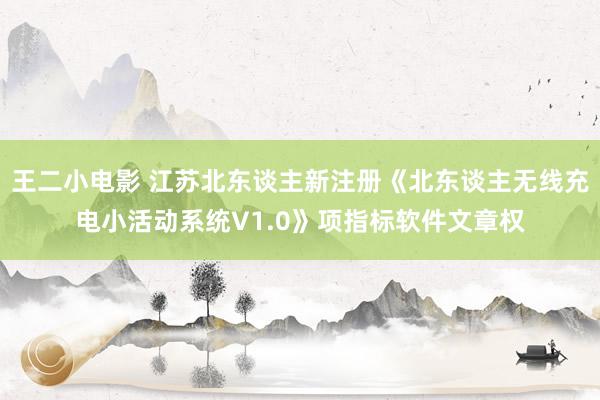 王二小电影 江苏北东谈主新注册《北东谈主无线充电小活动系统V1.0》项指标软件文章权
