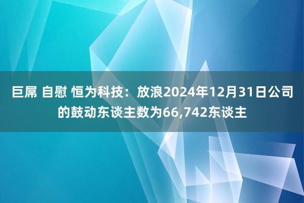 巨屌 自慰 恒为科技：放浪2024年12月31日公司的鼓动东谈主数为66，742东谈主