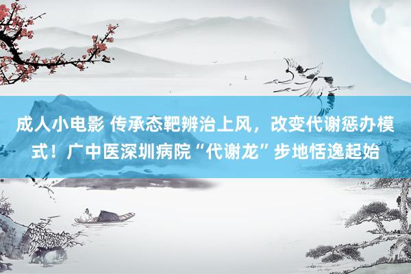 成人小电影 传承态靶辨治上风，改变代谢惩办模式！广中医深圳病院“代谢龙”步地恬逸起始