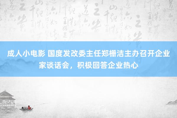 成人小电影 国度发改委主任郑栅洁主办召开企业家谈话会，积极回答企业热心
