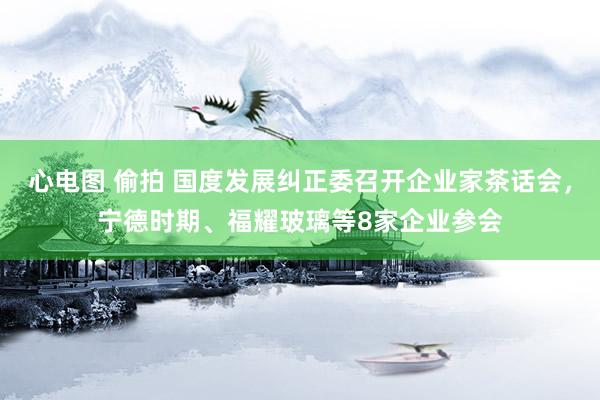 心电图 偷拍 国度发展纠正委召开企业家茶话会，宁德时期、福耀玻璃等8家企业参会