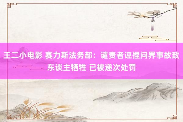 王二小电影 赛力斯法务部：谴责者诬捏问界事故致东谈主牺牲 已被递次处罚