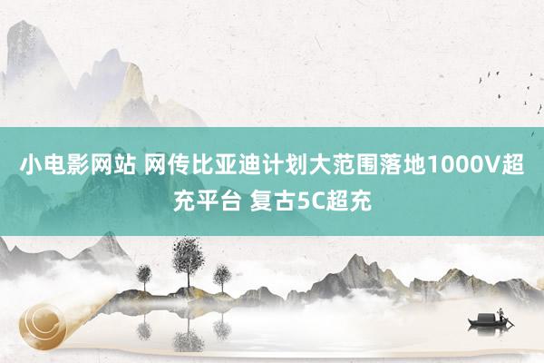 小电影网站 网传比亚迪计划大范围落地1000V超充平台 复古5C超充
