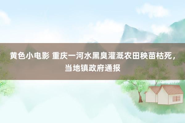 黄色小电影 重庆一河水黑臭灌溉农田秧苗枯死，当地镇政府通报