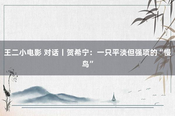 王二小电影 对话丨贺希宁：一只平淡但强项的“慢鸟”
