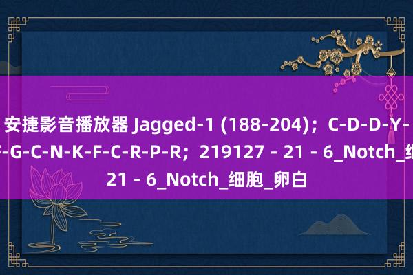 安捷影音播放器 Jagged-1 (188-204)；C-D-D-Y-Y-Y-G-F-G-C-N-K-F-C-R-P-R；219127 - 21 - 6_Notch_细胞_卵白