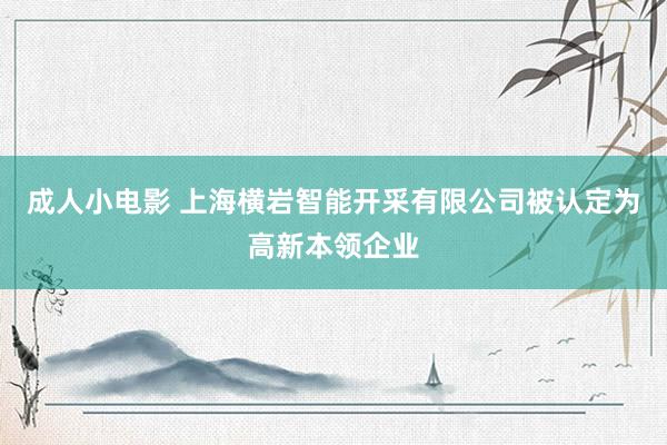 成人小电影 上海横岩智能开采有限公司被认定为高新本领企业
