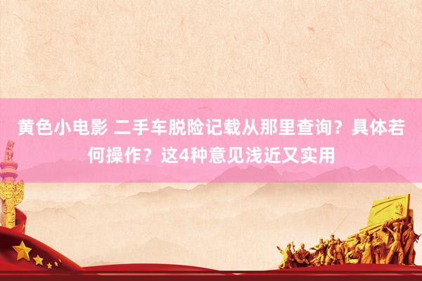 黄色小电影 二手车脱险记载从那里查询？具体若何操作？这4种意见浅近又实用
