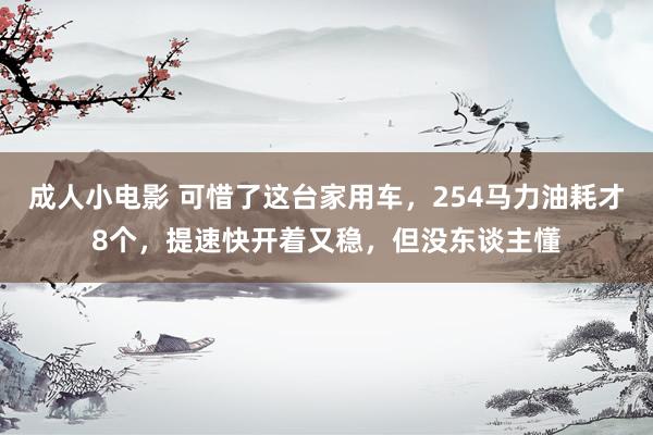 成人小电影 可惜了这台家用车，254马力油耗才8个，提速快开着又稳，但没东谈主懂