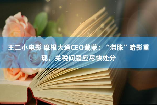 王二小电影 摩根大通CEO戴蒙：“滞胀”暗影重现，关税问题应尽快处分