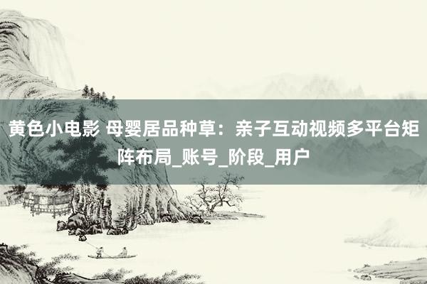 黄色小电影 母婴居品种草：亲子互动视频多平台矩阵布局_账号_阶段_用户