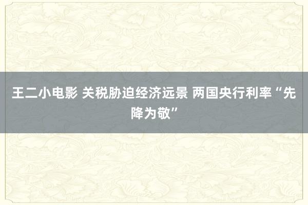 王二小电影 关税胁迫经济远景 两国央行利率“先降为敬”