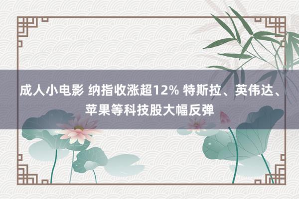成人小电影 纳指收涨超12% 特斯拉、英伟达、苹果等科技股大幅反弹