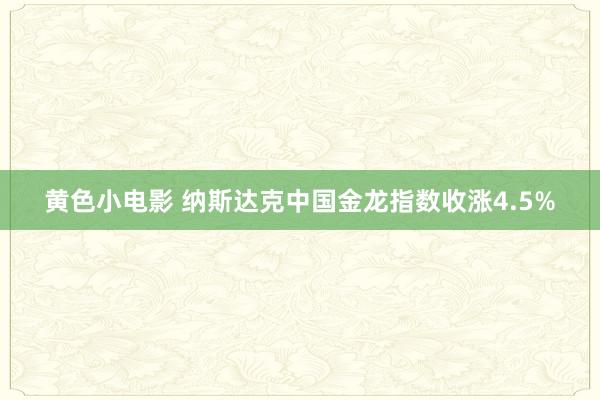 黄色小电影 纳斯达克中国金龙指数收涨4.5%