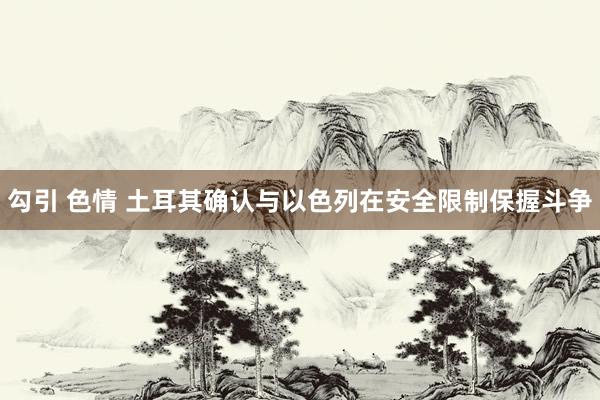 勾引 色情 土耳其确认与以色列在安全限制保握斗争