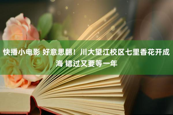 快播小电影 好意思翻！川大望江校区七里香花开成海 错过又要等一年