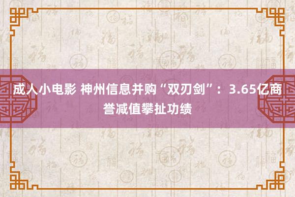 成人小电影 神州信息并购“双刃剑”：3.65亿商誉减值攀扯功绩