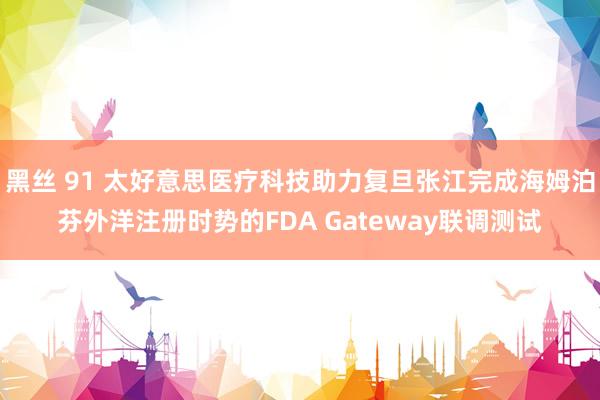 黑丝 91 太好意思医疗科技助力复旦张江完成海姆泊芬外洋注册时势的FDA Gateway联调测试