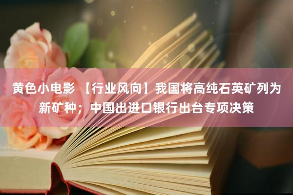 黄色小电影 【行业风向】我国将高纯石英矿列为新矿种；中国出进口银行出台专项决策