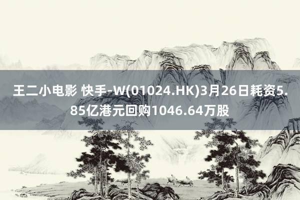 王二小电影 快手-W(01024.HK)3月26日耗资5.85亿港元回购1046.64万股