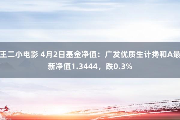 王二小电影 4月2日基金净值：广发优质生计搀和A最新净值1.3444，跌0.3%