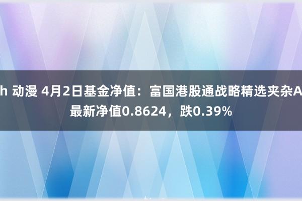 h 动漫 4月2日基金净值：富国港股通战略精选夹杂A最新净值0.8624，跌0.39%