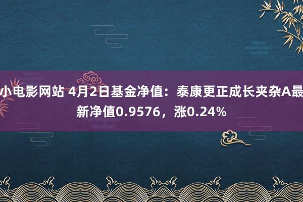 小电影网站 4月2日基金净值：泰康更正成长夹杂A最新净值0.9576，涨0.24%
