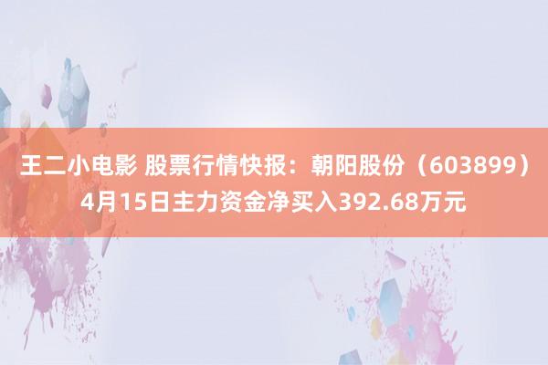王二小电影 股票行情快报：朝阳股份（603899）4月15日主力资金净买入392.68万元