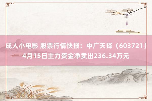 成人小电影 股票行情快报：中广天择（603721）4月15日主力资金净卖出236.34万元