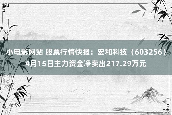 小电影网站 股票行情快报：宏和科技（603256）4月15日主力资金净卖出217.29万元
