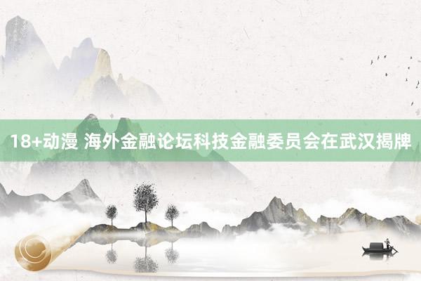 18+动漫 海外金融论坛科技金融委员会在武汉揭牌