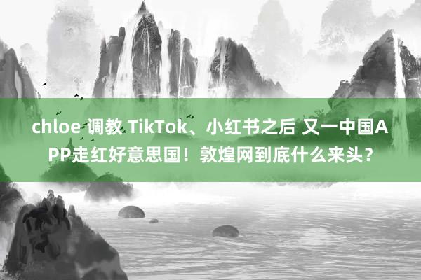 chloe 调教 TikTok、小红书之后 又一中国APP走红好意思国！敦煌网到底什么来头？